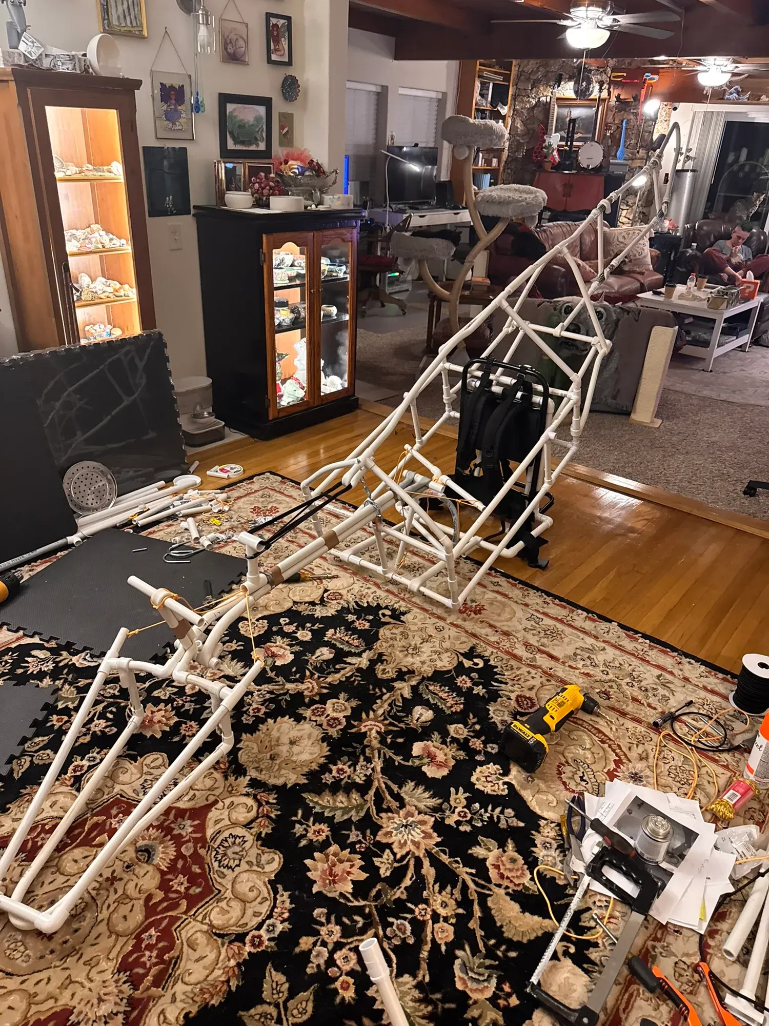 The complete raptor skeleton standing on the floor, neck boom curving up, pack frame mounted in the torso cage